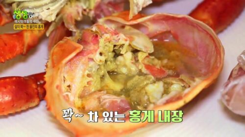생생정보 택시맛객 울진 홍게