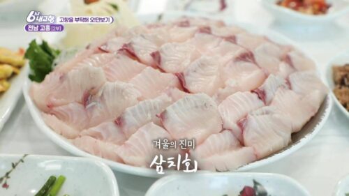 6시내고향 고흥 삼치회