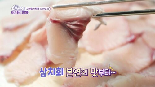 내고향스페셜 고흥 삼치회