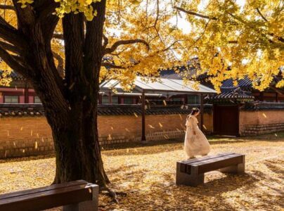 Best Places to Visit in Seoul in March