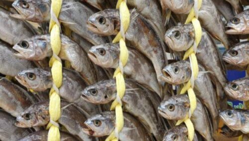 6시내고향 옥천 굴비