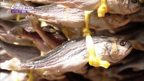 내고향스페셜 옥천 굴비