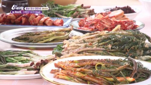 6시내고향 눈개승마