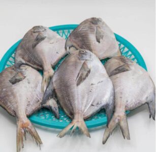 대천항종합수산물시장 도다리회 반건조생선