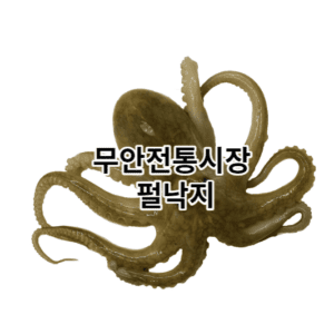 무안전통시장 펄낙지