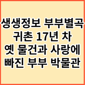 생생정보 부부별곡 박물관