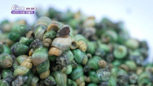 6시내고향 영동 다슬기