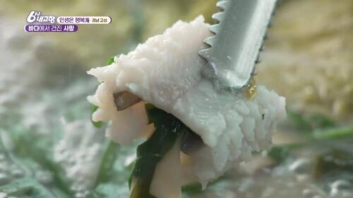 6시내고향 인생은 행복해 고성 갯장어