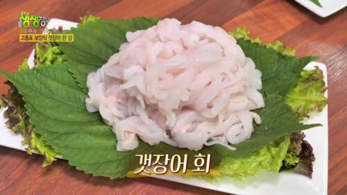생생정보 고흥표 보양식 갯장어 한상
