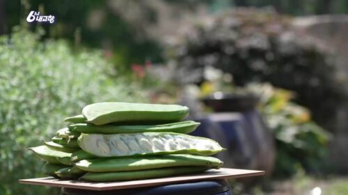 6시내고향 문경 작두콩 사진