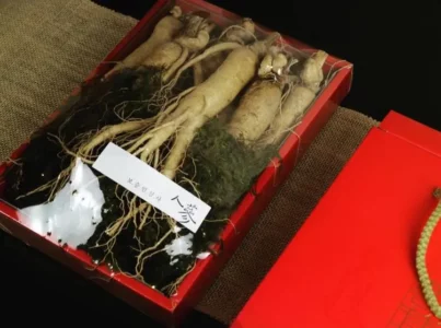 6시내고향 영주 인삼