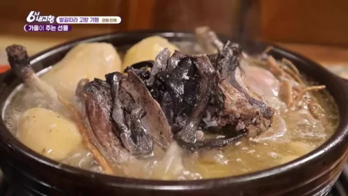 6시내고향 인제 능이버섯오리백숙