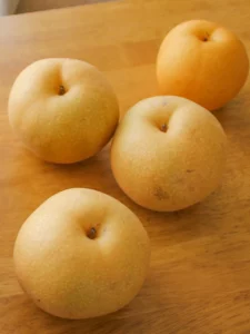 6시내고향 화성 유기농 배