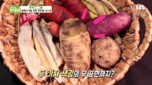 생방송투데이 채소빵