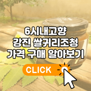 6시내고향 강진 쌀귀리조청