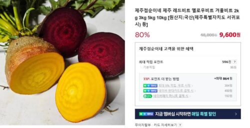 6시내고향 제주 비트