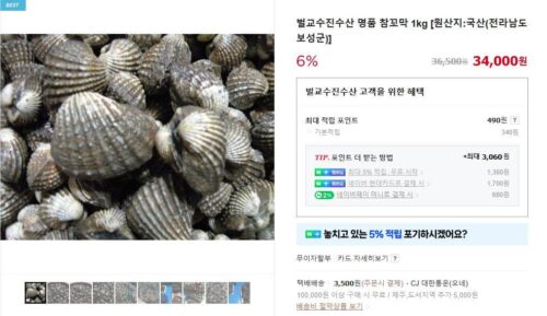 6시내고향 홍보장사 보성 벌교 꼬막