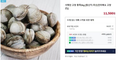 6시내고향 고창 동죽조개