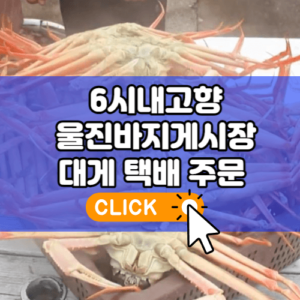 6시내고향 울진바지게시장 대게