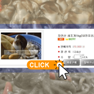 6시내고향 인생은 행복해 홍성 새조개 쭈꾸미