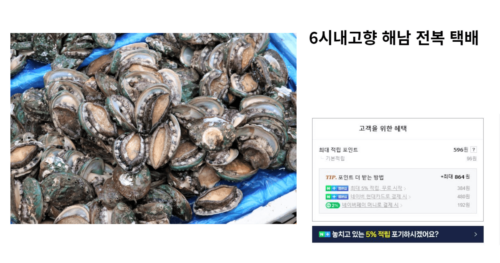 6시내고향 해남 전복