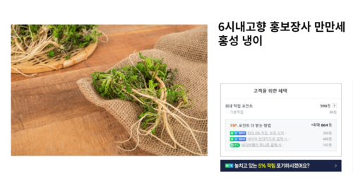 6시내고향 홍성 냉이