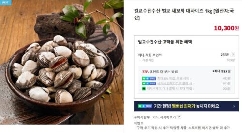 6시내고향 보성 벌교 꼬막