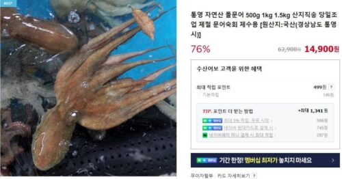 6시내고향 수요일엔 수산물 통영 돌문어 주문