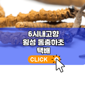 6시내고향 횡성 동충하초