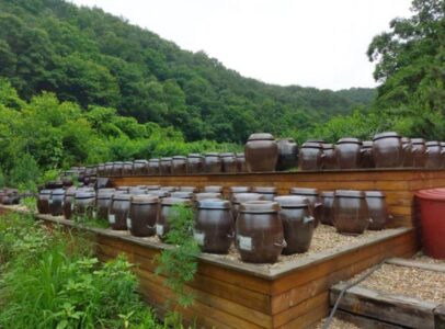 생생정보 나나랜드 사랑방 주인장의 시골살이