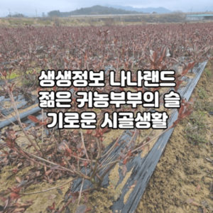 생생정보 나나랜드 젊은 귀농 부부의 슬기로운 시골 생활