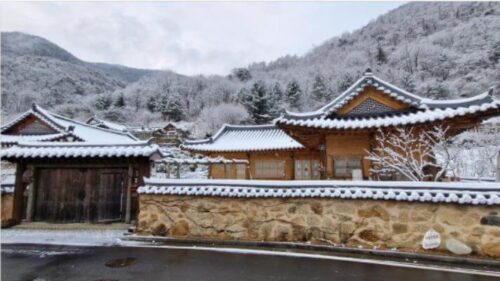 생생정보 부부별곡 귀촌 11년차 부부 한옥 민박