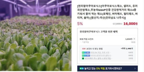 6시내고향 나주 뿌리까지 먹는 파