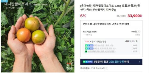 6시내고향 부산 찰토마토 대저 짭짤이토마토