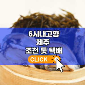 6시내고향 제주 조천 톳
