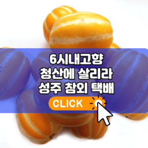 6시내고향 청산에 살리라 성주 참외