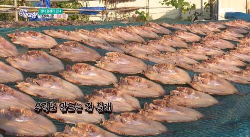 6시내고향 태안서부시장 우럭포