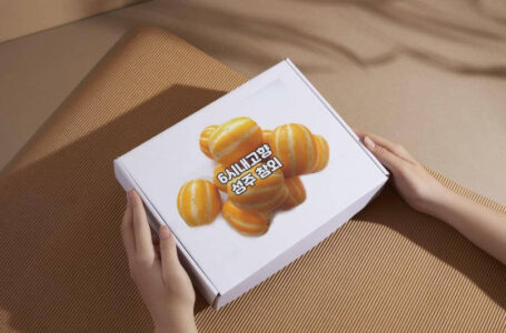 6시내고향 홍보장사 만만세 성주 참외