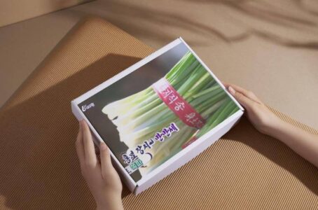 6시내고향 홍보장사 아산 도고 쪽파