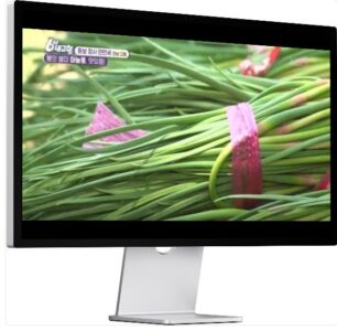 6시내고향 고흥 마늘종