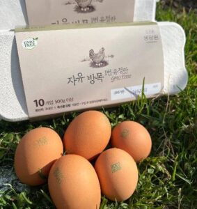 6시내고향 누리집 장수 자연방사 유정란