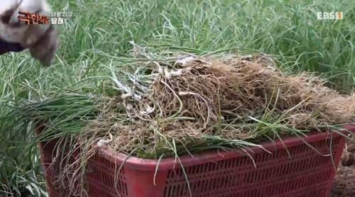 극한직업 달래장