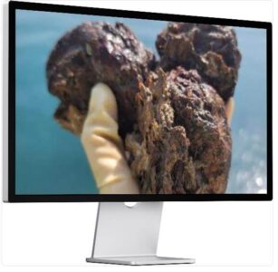 6시내고향 누리집 섬섬옥수 금오도 돌멍게 해삼
