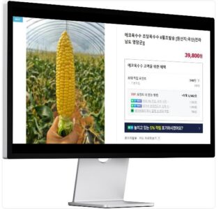 6시내고향 누리집 홍보장사 영암 초당옥수수