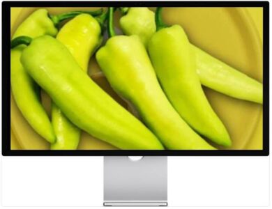 6시내고향 누리집 여수 당조고추