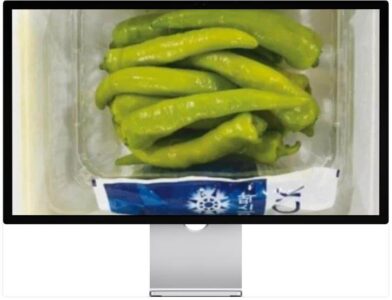 6시내고향 누리집 여수 당조고추