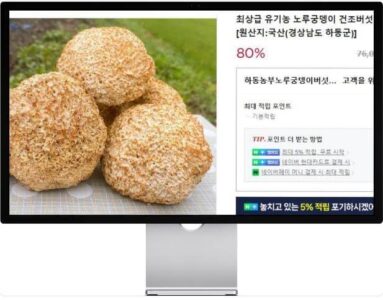 6시내고향 누리집 하동 노루궁뎅이버섯