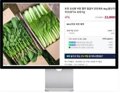 6시내고향 누리집 홍보장사 포천 열무