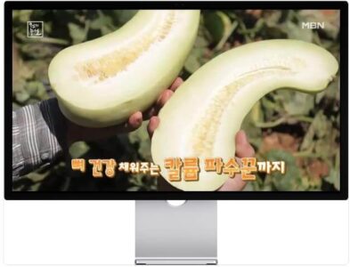 천기누설 칼륨 파수꾼 울외