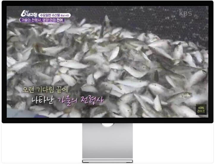 6시내고향 누리집 서천특화시장 임시상설시장 전어